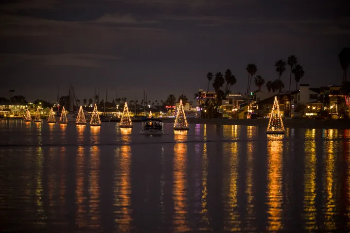 Floating Christmas trees with lights on a dark waterfront with palm trees in the background.